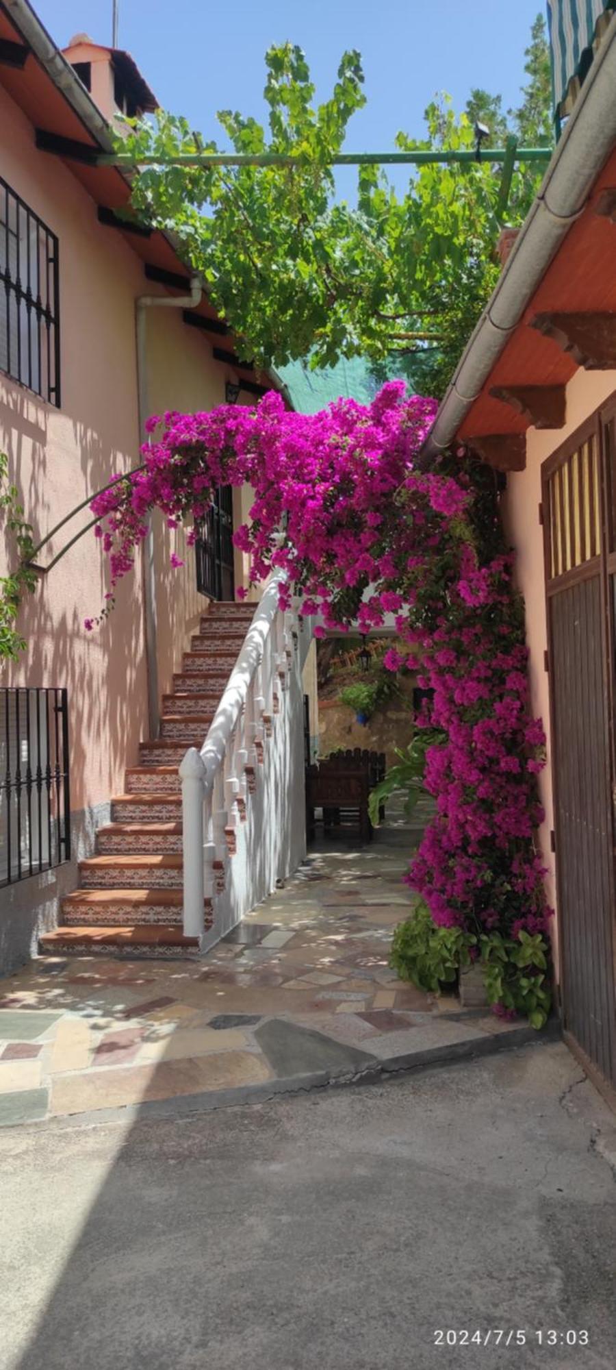 Cortijo De Las Flores Cazorla ลาอิรูลา ภายนอก รูปภาพ