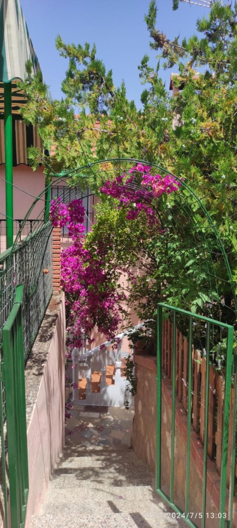 Cortijo De Las Flores Cazorla ลาอิรูลา ภายนอก รูปภาพ