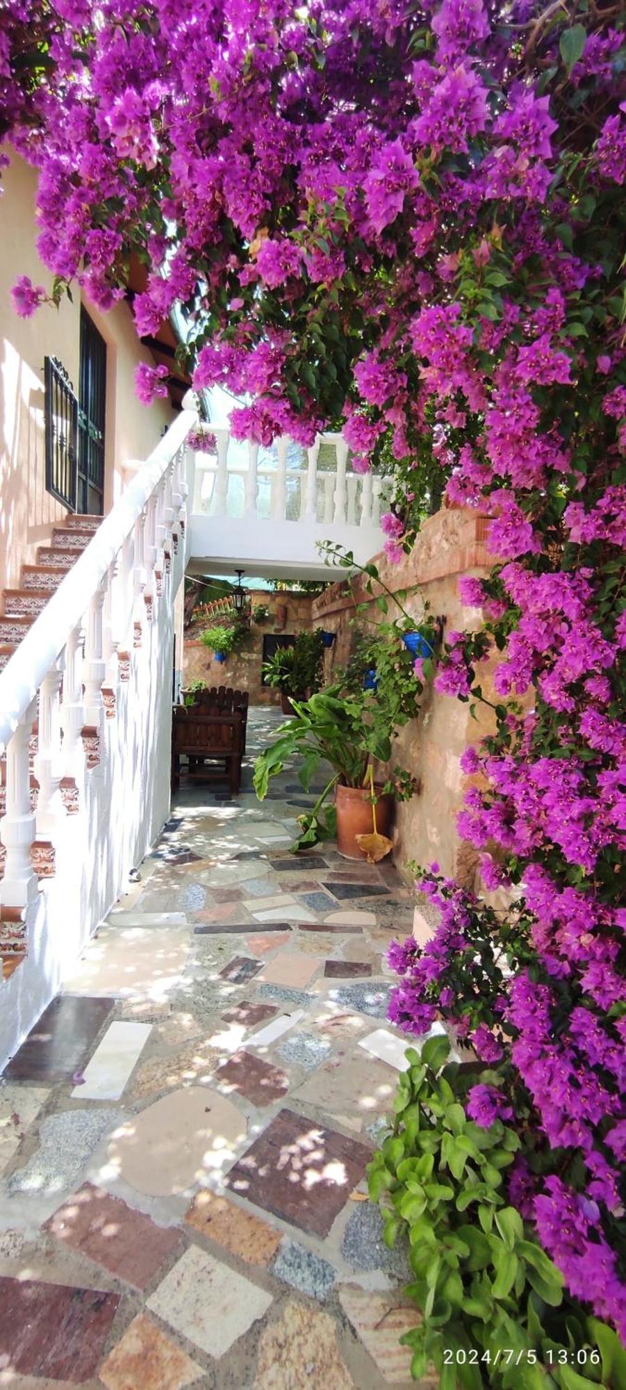 Cortijo De Las Flores Cazorla ลาอิรูลา ภายนอก รูปภาพ